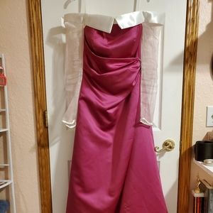 Sleeping Beauty Cosplay Costume